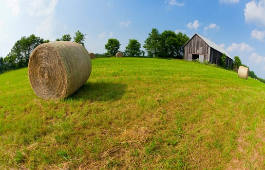 Hay bales in a field with an old barn on a sunny day