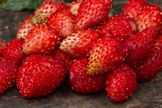 fresh Wild strawberries on wooden background