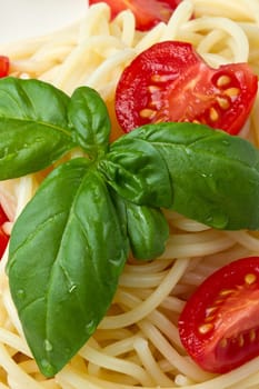 spaghetti with fresh tomatoes  and basil