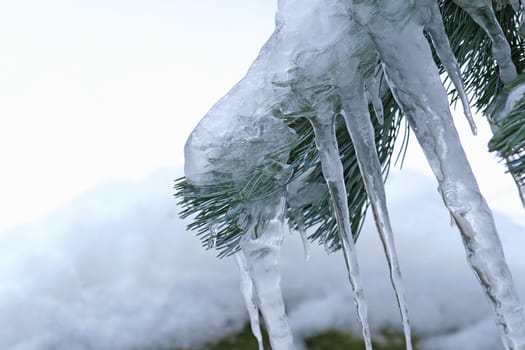 Icicle