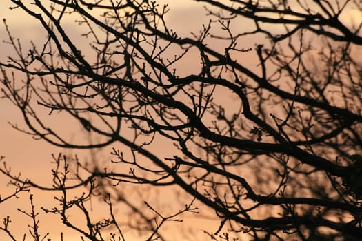 sunset or (sunset beach) or (sunset nature) or (sunset skyline)