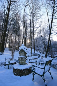 Winter in the park