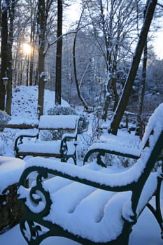 Winter in the park