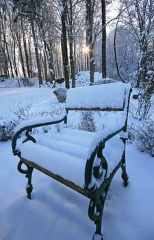 Winter in the park