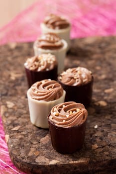 Close-up of delicious chocolate pralines. Studio shot.