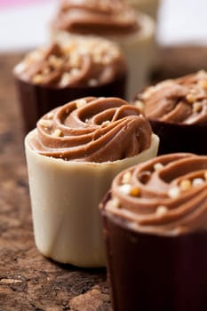 Close-up of delicious chocolate pralines. Studio shot.