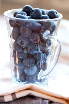 Close-up of delicious blueberries in a glass. Studio shot.