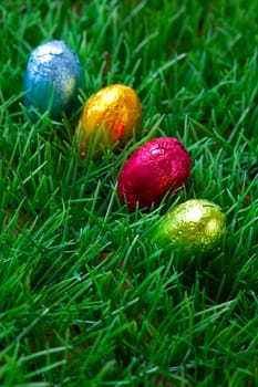 Close-up on chocolate Easter eggs on grass.