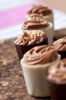 Close-up of delicious chocolate pralines. Studio shot.
