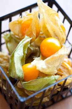Fresh, delicious and ripe physalis. Studio shot.