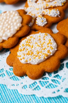 Decorated gingerbread cookies for Christmas. Studio shot.