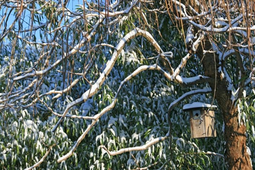 Birdhouse in winter