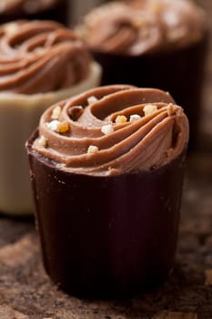 Close-up of delicious chocolate pralines. Studio shot.