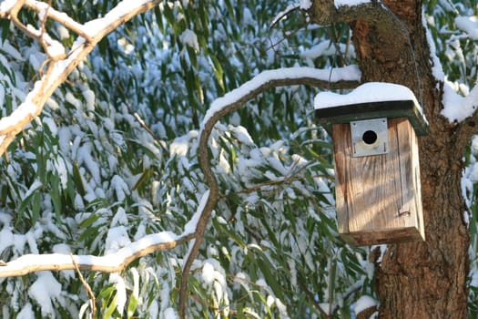 Birdhouse in winter