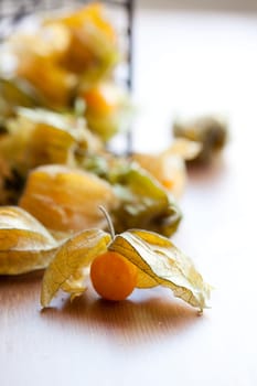Fresh, delicious and ripe physalis. Studio shot.