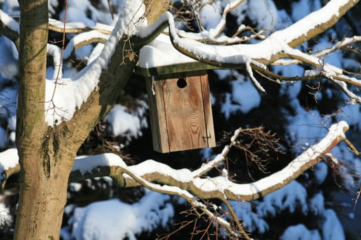 Birdhouse in winter