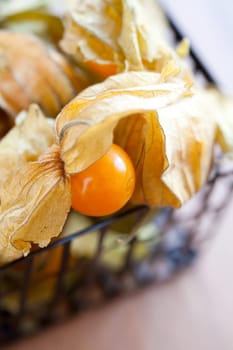Fresh, delicious and ripe physalis. Studio shot.