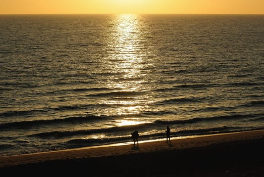evening light