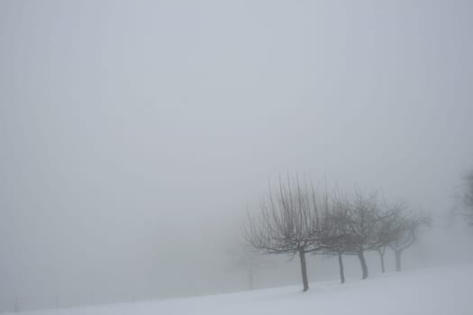 Fog