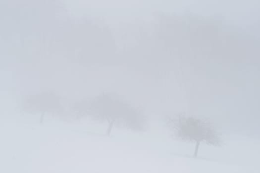 Fog