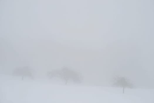 Fog