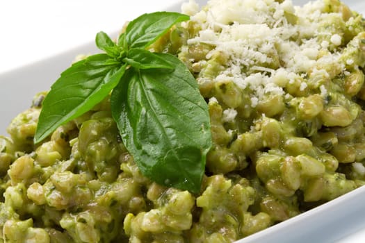 spelled salad with fresh pesto