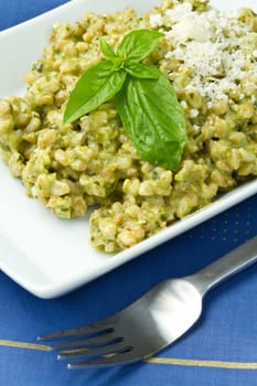 spelled salad with fresh pesto