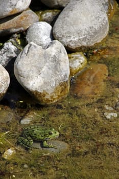 Japanese Garden in Bad Langensalza