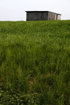 Stable on a pasture