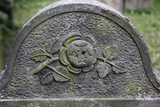 Flower on a gravestone