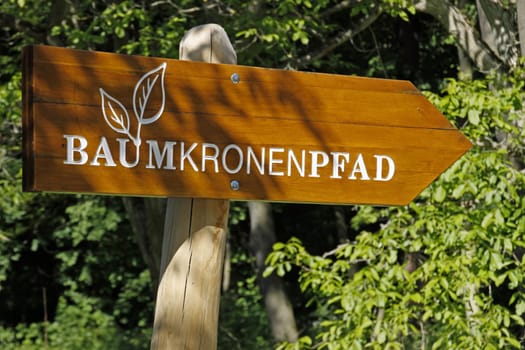 Hainich National Park Treetop Walk