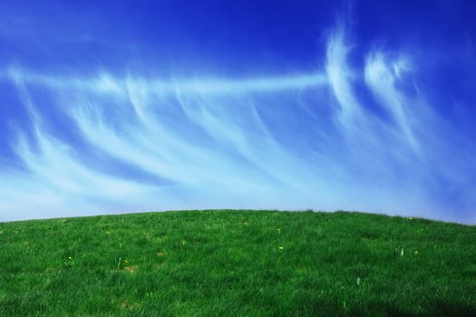 Green grass landscape blue sky for Backgrounds and design