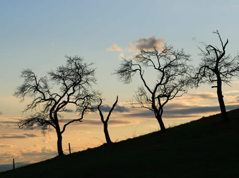 Evening