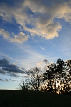 Evening