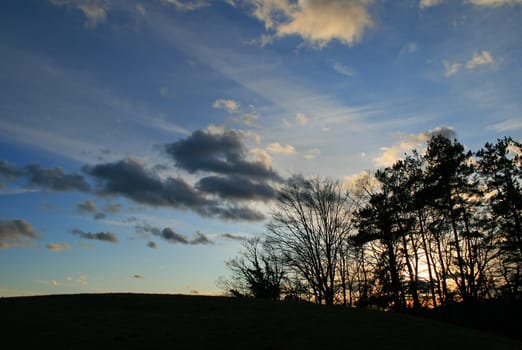 Evening