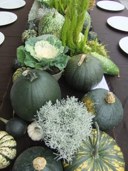 Pumpkin bar