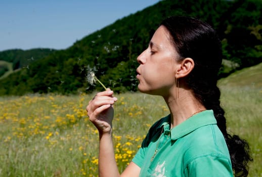 Dandelion I