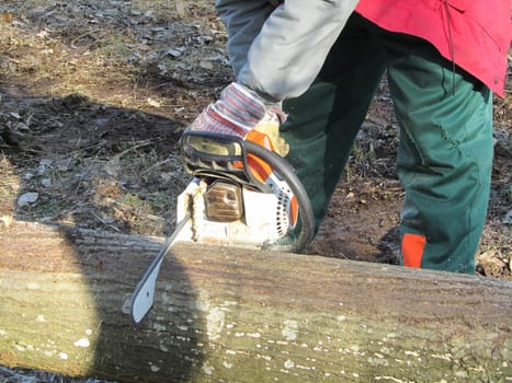 Forestry work