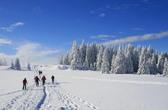 Winter in the Aplan