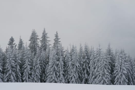 Winter in the Alps