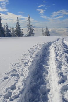 Winter in the Alps