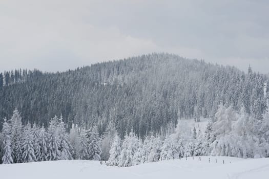 Winter in the Alps