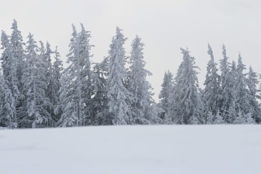 Winter in the Alps