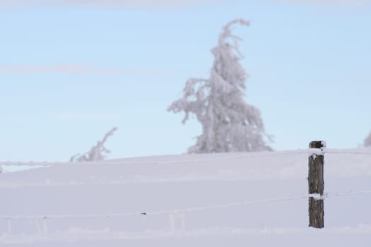 Winter in the Alps