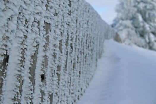 Winter in the Alps