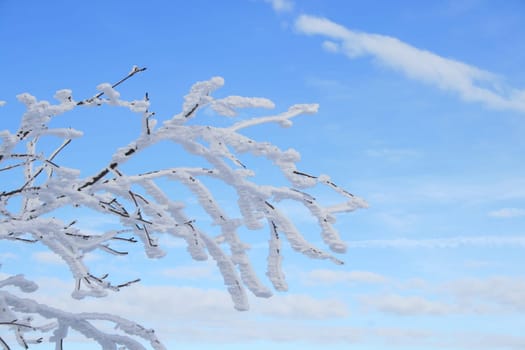 Winter in the Alps