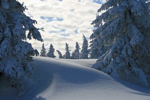 Winter in the Alps