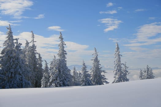 Winter in the Alps