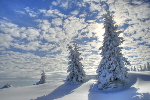 Winter in the Alps