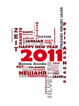 The year 2011